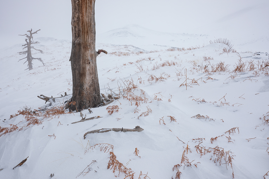 The white desert