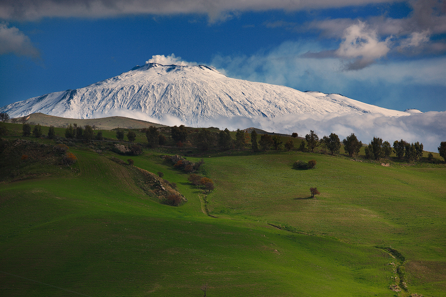The White Giant