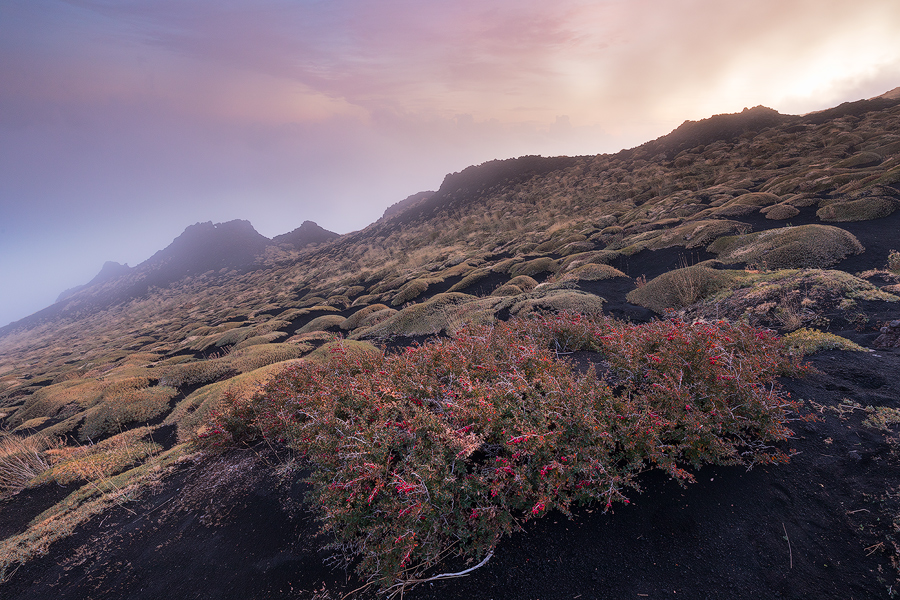 Volcanic steppe