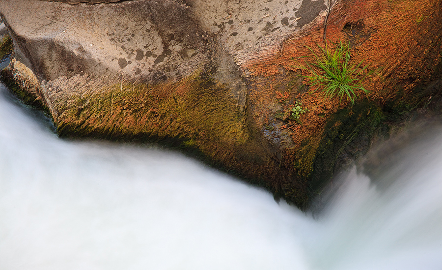 Water Elements