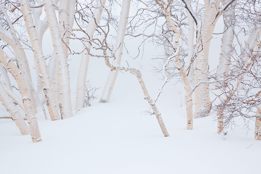 White on white