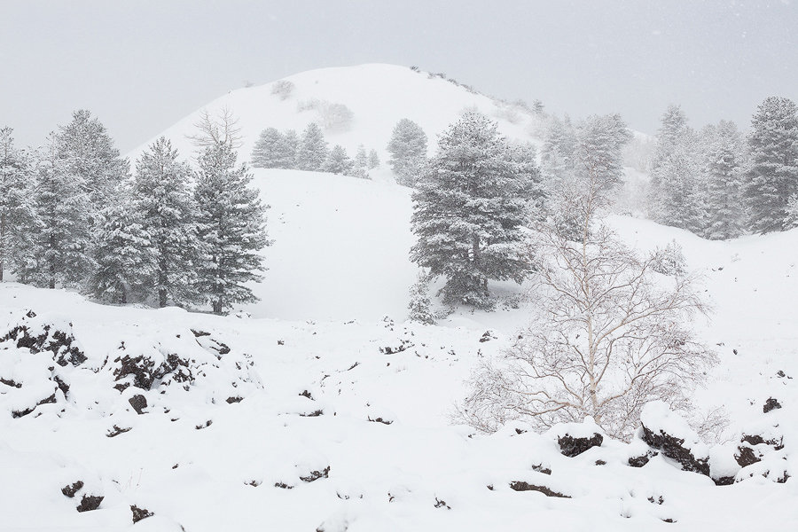 Winter's tale